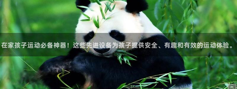 熊猫体育娱乐平台：在家孩子运动必备神器！这些先进设备