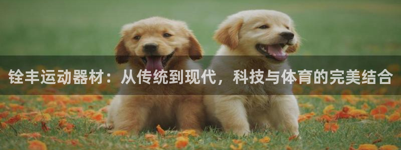 熊猫体育官网下载招商电话号码：铨丰运动器材：从传统到现代，科