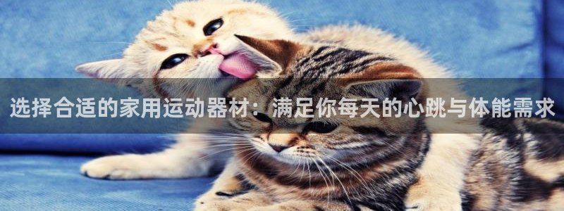 熊猫体育集团官网首页：选择合适的家用运动器材：满足你每天的心