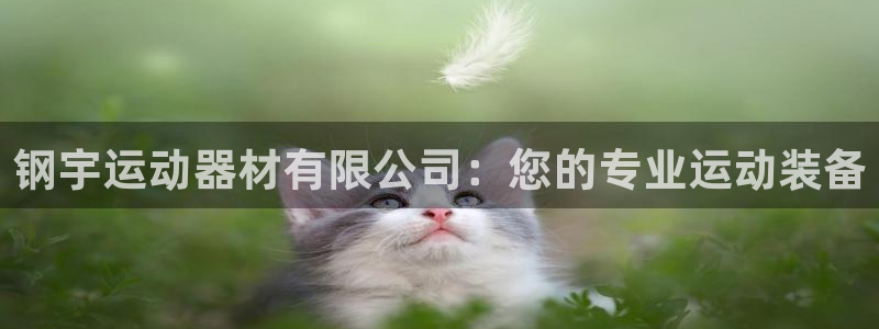 熊猫体育官网下载官方客服电话：钢宇运动器材有限公司：